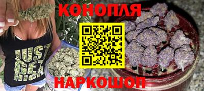скорость Кингисепп