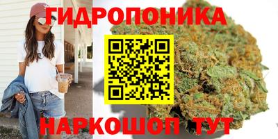 скорость Кингисепп