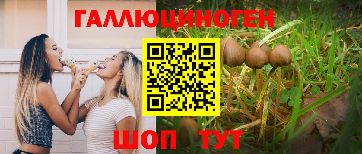 Псилоцибиновые грибы ЛСД  Вход с VPN  Костомукша  Псилоцибиновые грибы Cubensis 